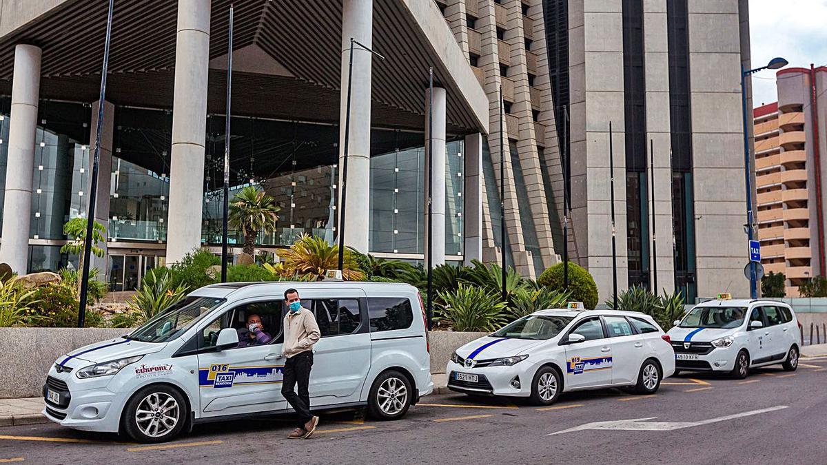 Varios taxis estacionados en una de las paradas de Benidorm.