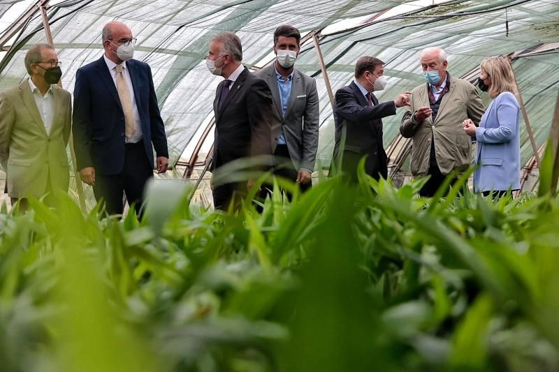 Visita del ministro de Agricultura, Luis Planas