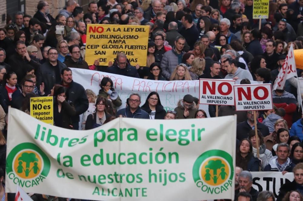 Miles de personas protestan en Orihuela contra la Ley de Plurilingüismo