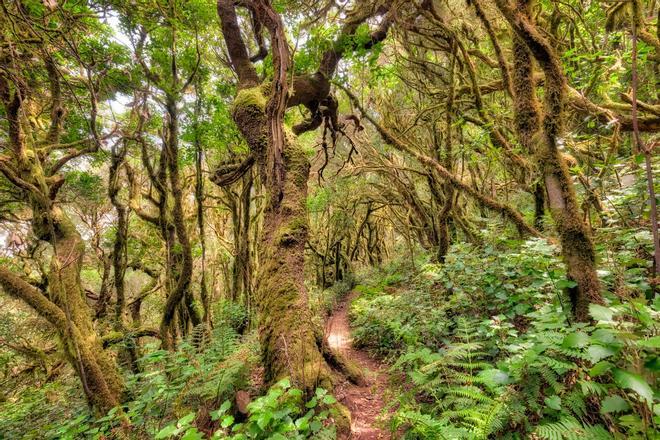 Hermigua, La Gomera