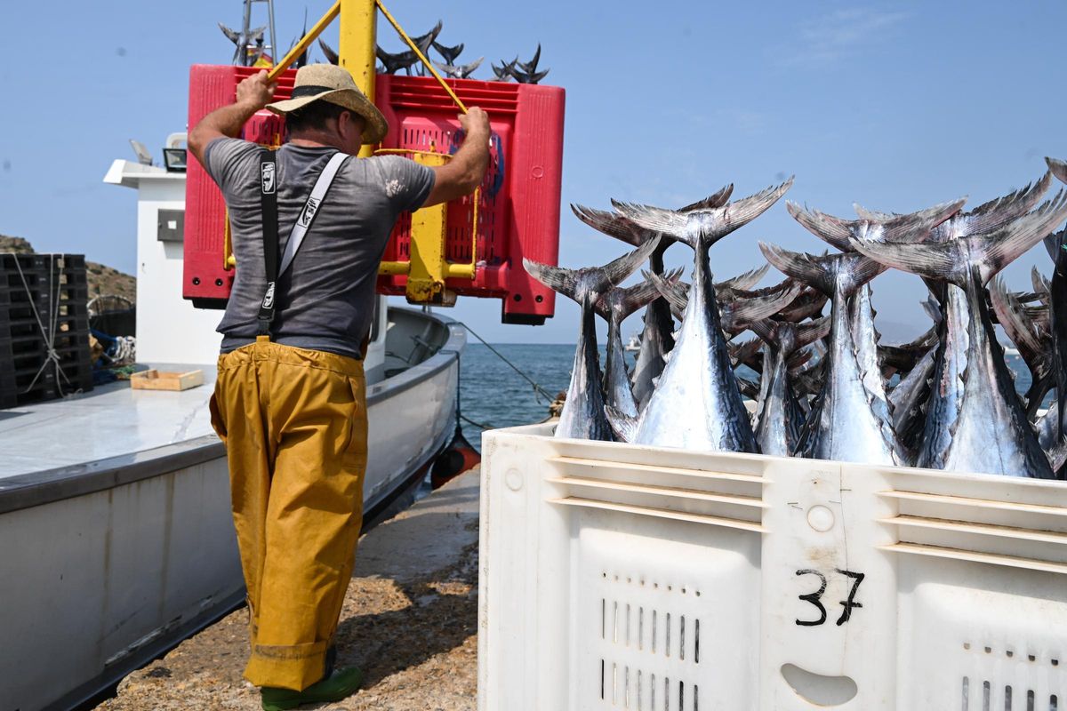 Operación de desembarco del pescado.