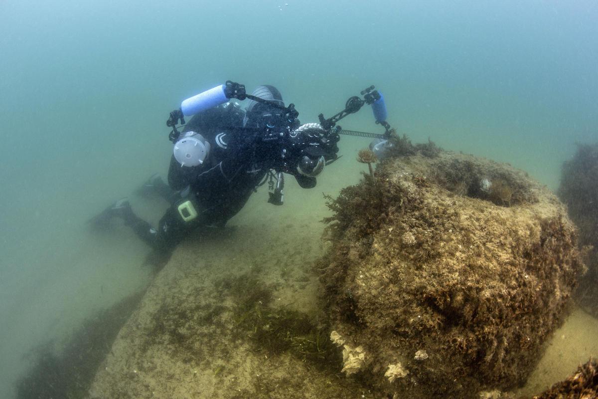 Un submarinista toma una fotografía de las especies marinas que habitan en una arrecife artificial.