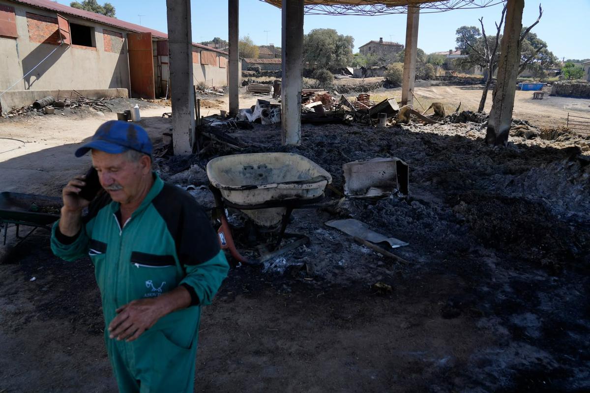 GALERÍA | El paso del fuego por Mámoles arrasa la explotación de Alfredo Fernándes