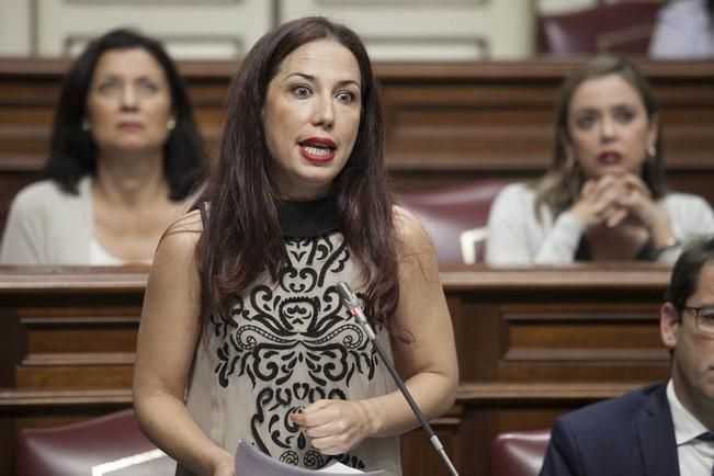 18/04/2017.CANARIAS POLITICA.Pleno del Parlamento de Canarias..Fotos: Carsten W. Lauritsen