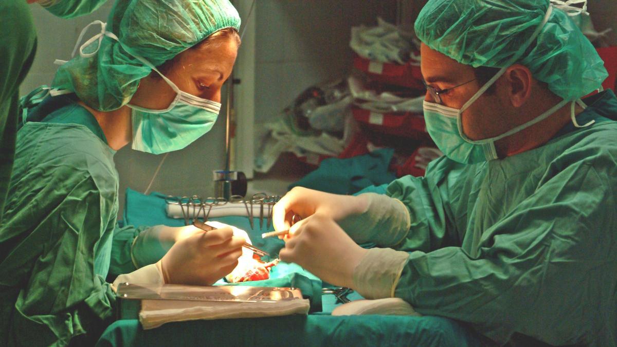 Un equipo de médicos realiza un trasplante de riñón