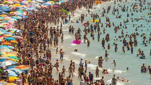 Sobredosis de turismo: playa de Benidorm atestada de bañistas