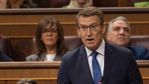 Alberto Núñez Feijóo intervé  durant una sessió de control  al Govern al Congrés el  13 de març.  | EDUARDO PARRA / EUROPA PRESS