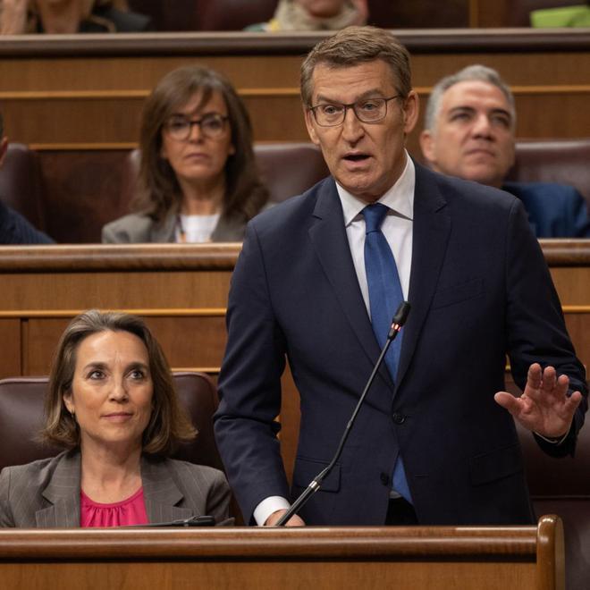 Alberto Núñez Feijóo intervé  durant una sessió de control  al Govern al Congrés el  13 de març.  | EDUARDO PARRA / EUROPA PRESS