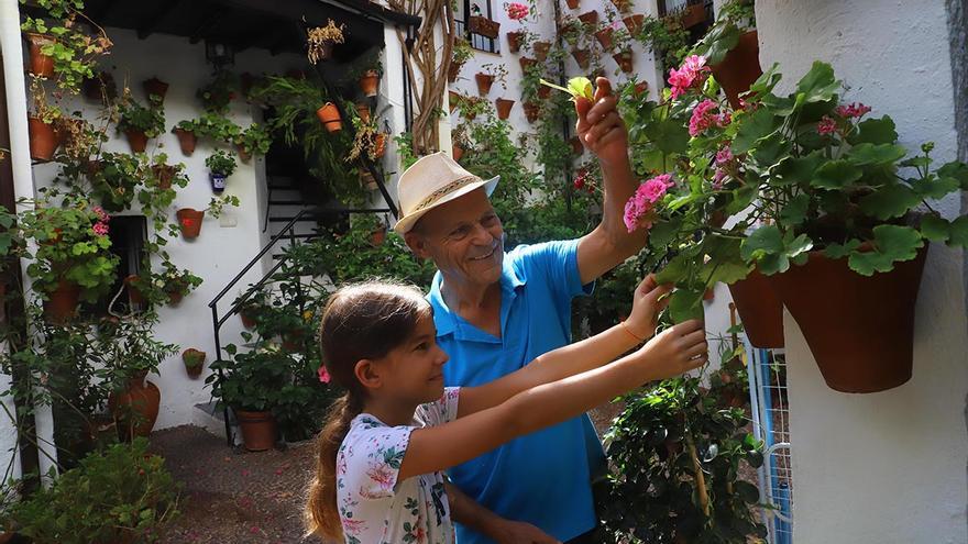 Patios de Córdoba en verano