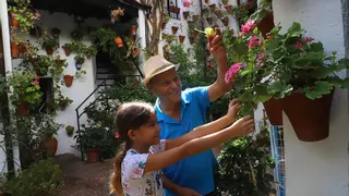 Los patios luchan contra el calor