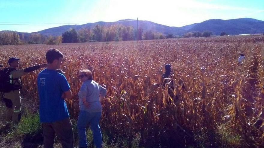 Reanudan la búsqueda de un hombre de 85 años de Terrer