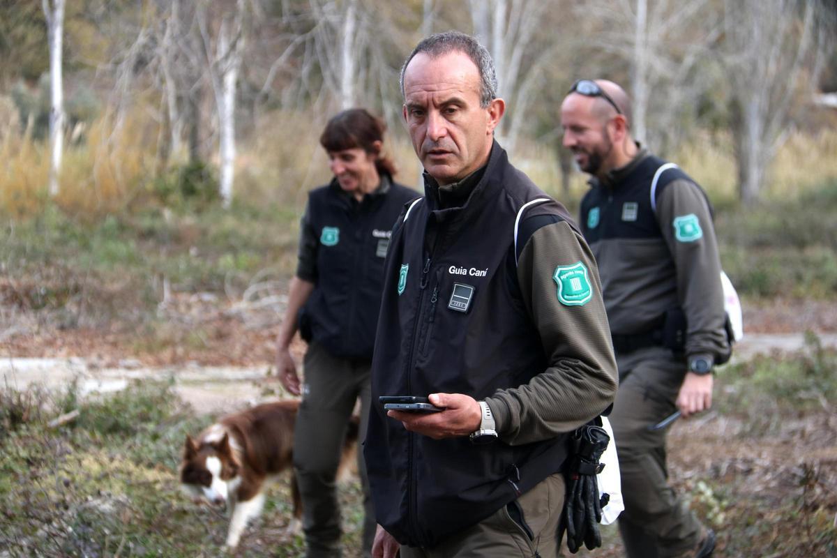 Agents Rurals junto con sus agentes caninos para buscar cadáveres de jabalís