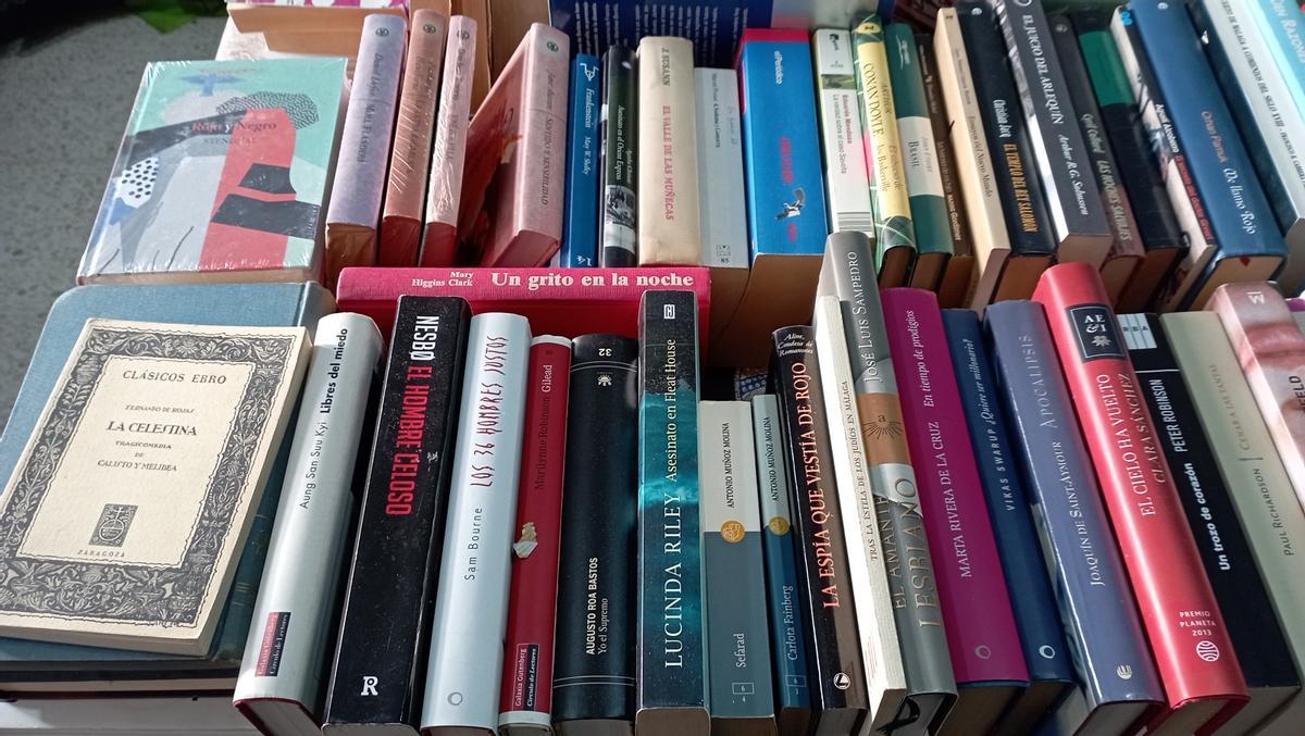 Algunos de los libros donados para el mercadillo navideño de Ciriana, en Churriana.