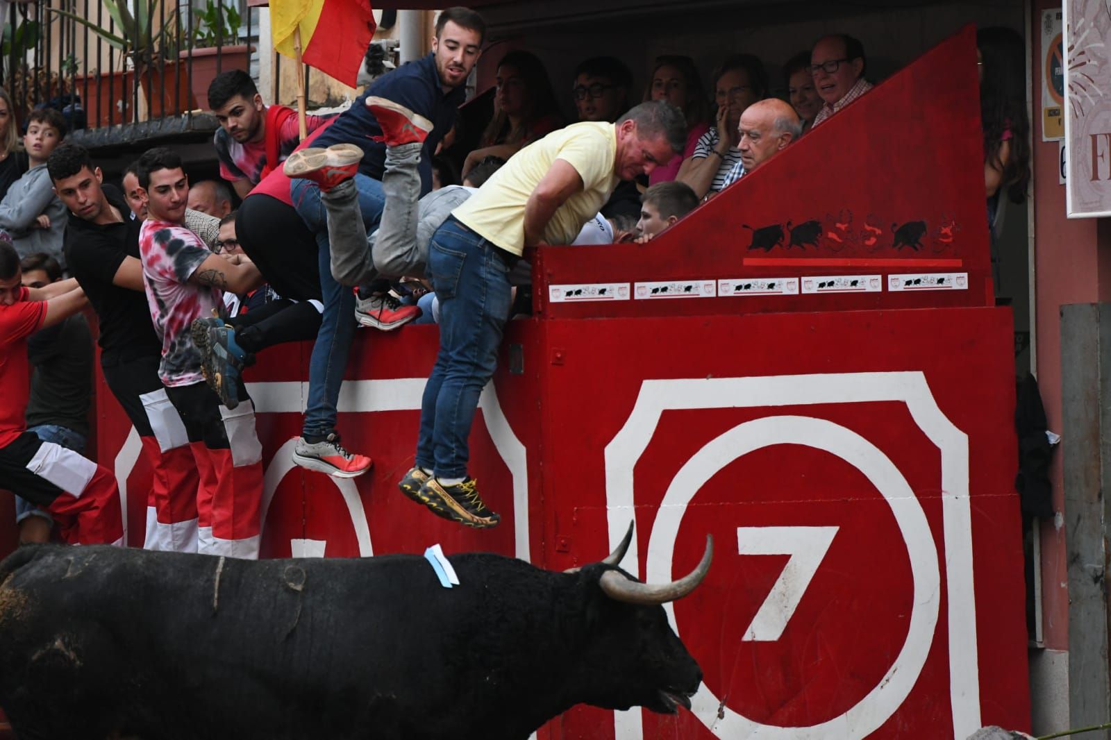 Exhibición de cuatro toros de Partida Resina en Onda