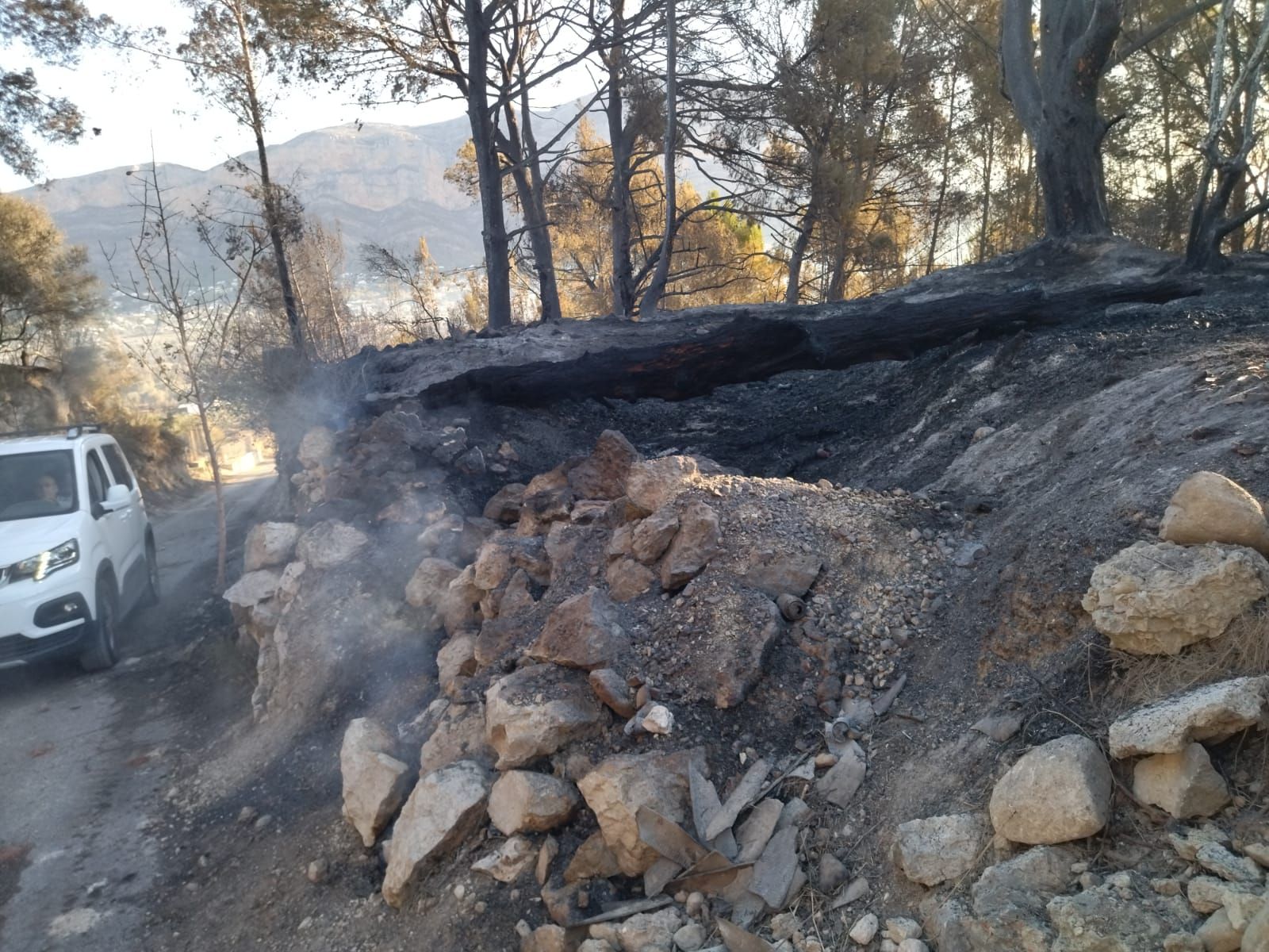 El valle agrícola del Montgó, reducido a cenizas (imágenes)