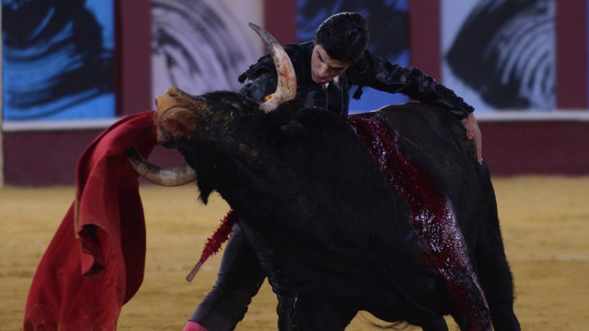 Los toros vuelven a La Malagueta