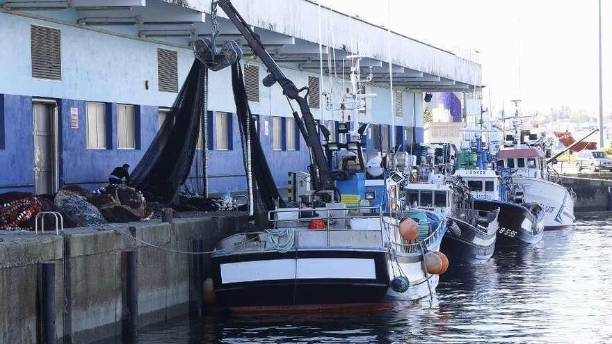 Barcos de cerco de la ría de Vigo, ayer, tras su llegada al puerto de O Berbés. // Ricardo Grobas