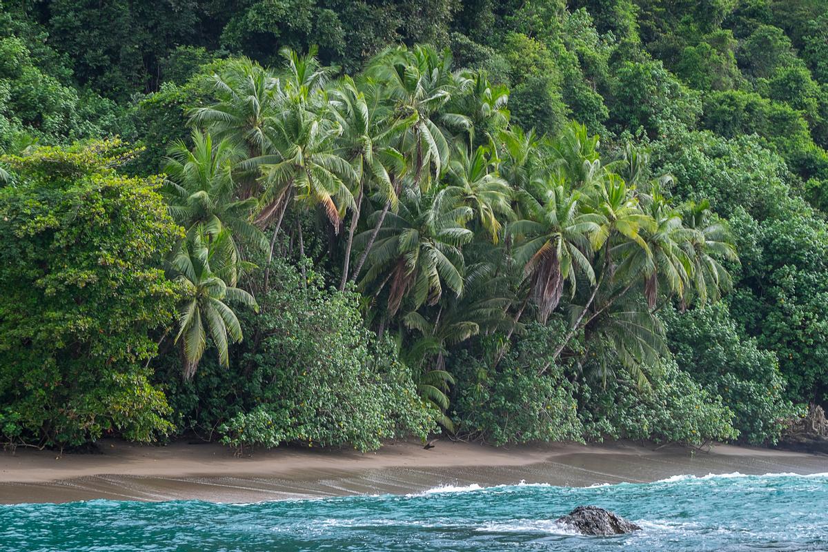 La Isla del Caño es una reserva biológica en la región del Pacífico del país, a unos 16 km de la Península de Osa