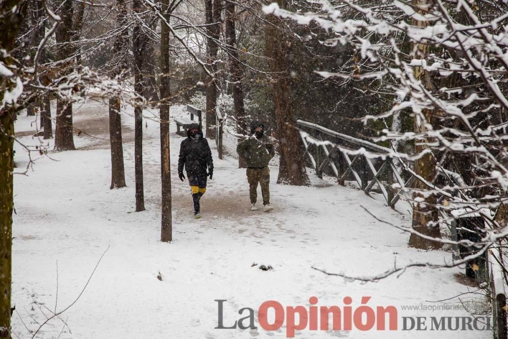 Nieve en las Fuentes del Marqués de Caravaca