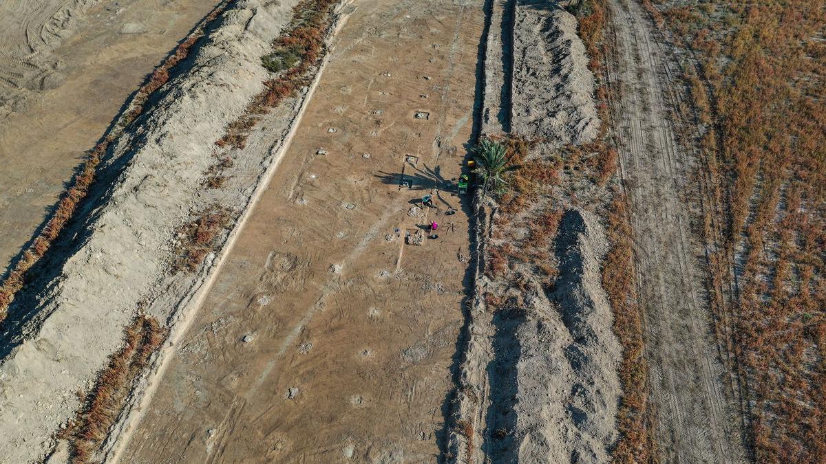 Hallazgos en el campo de concentración de Albatera.