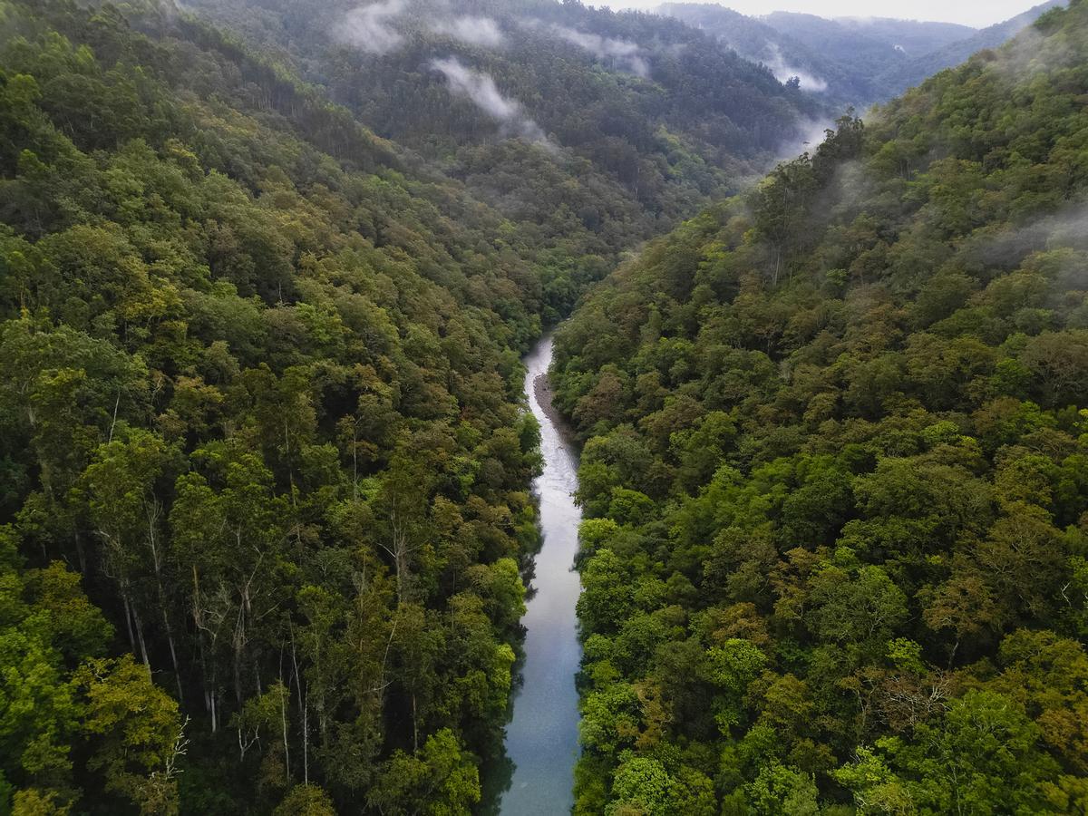 El Amazonas también está en Galicia y esto es un ejemplo de ello