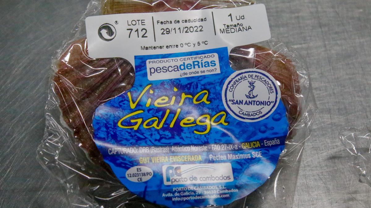 La vieira, ya lista para ser comercializada