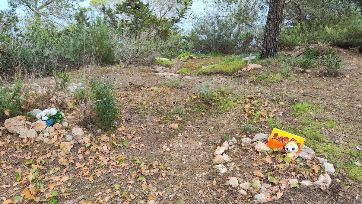 El cementerio ilegal de perros y gatos de sa Caleta en imágenes