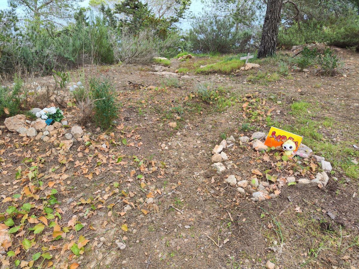 El cementerio ilegal de perros y gatos de sa Caleta en imágenes El cementerio ilegal de perros y gatos de sa Caleta en imágenes