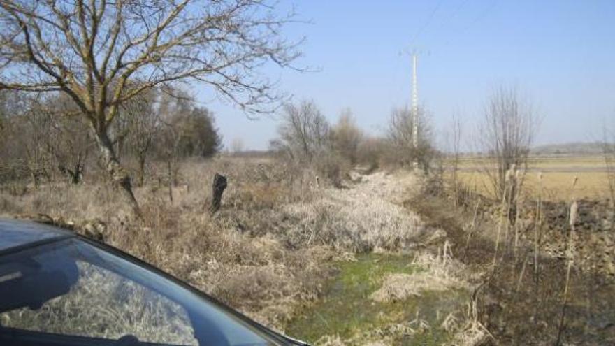 Caño de la Huerga que se utiliza para regar en varios pueblos de la comarca.