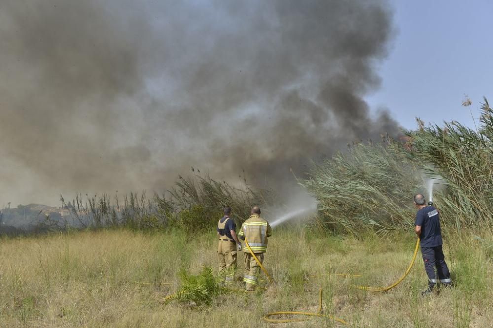 Incendio de matorral en Cabezo de Torres