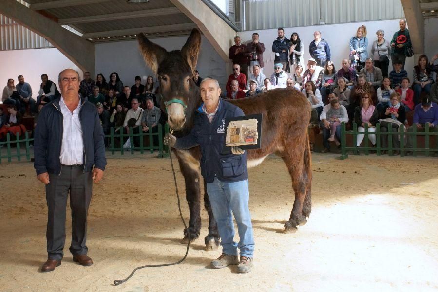 Feria del burro en San Vitero y romería