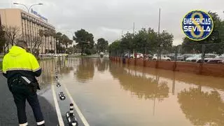 Evacuado el Palacio de Congresos de Sevilla (Fibes) por acumulación de agua en Sevilla Este