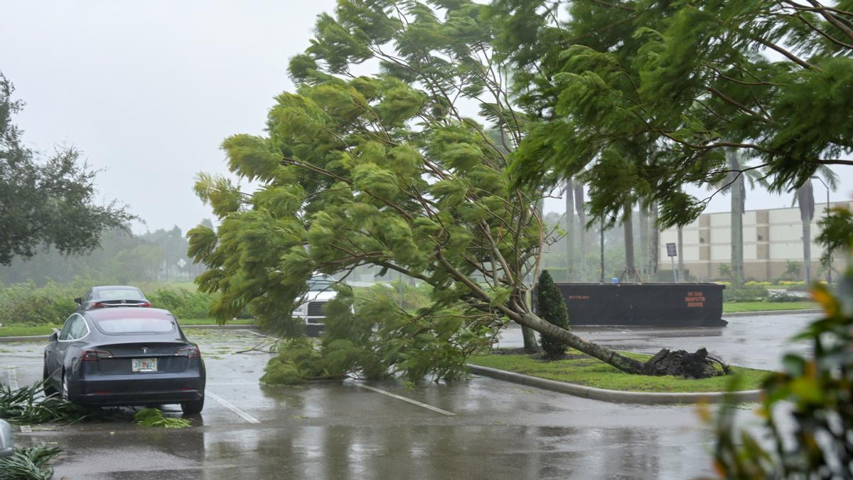 Gusts from Hurricane Ian begin to knock down small trees and palm fronds in a hotel parking lot in Sarasota