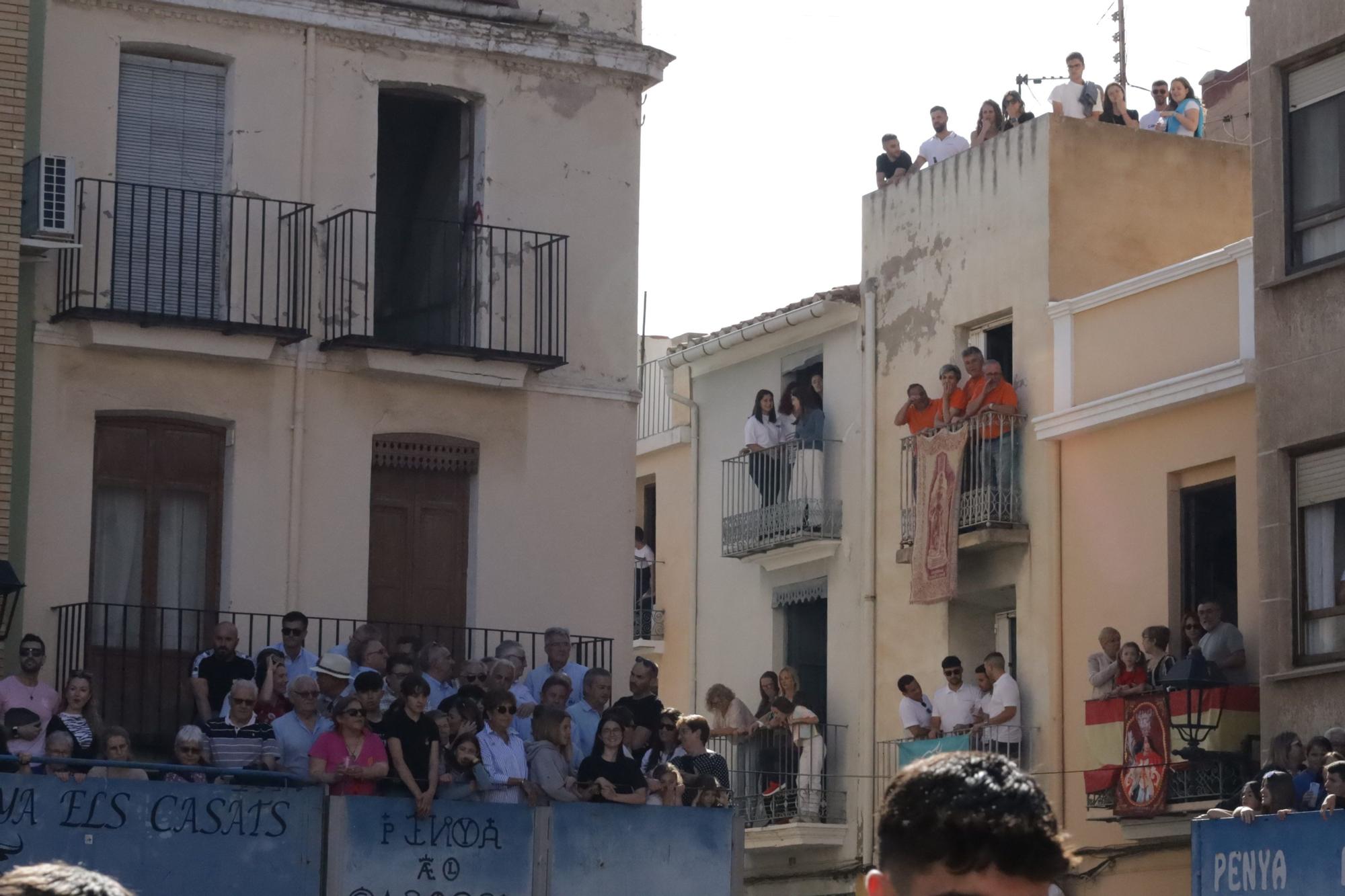 MACROGALERÍA DE FOTOS: Búscate en el encierro y los primeros 'bous' de las fiestas de Almassora