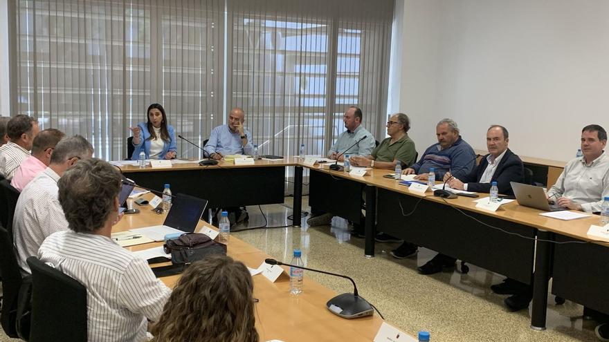 Momento de la reunión de la Mesa Regional del Cítrico en la Consejería de Agricultura.