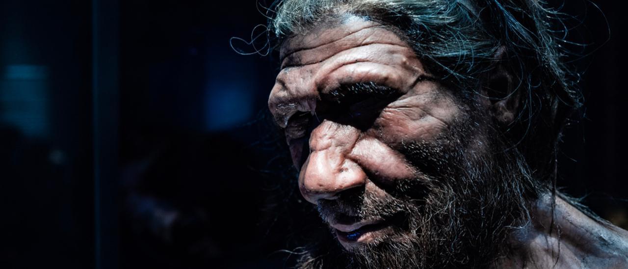 Investigadores españoles hallan la evidencia de que los neandertales hablaban.