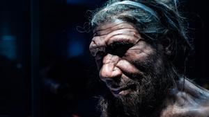 Investigadores españoles hallan la evidencia de que los neandertales hablaban.