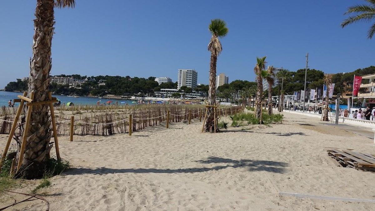 La playa de Magaluf luce un entorno más natural.