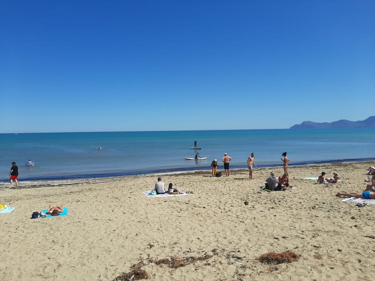 FOTOS | Mallorca se adelanta al verano: Son Bauló, en Can Picafort, se llena de bañistas
