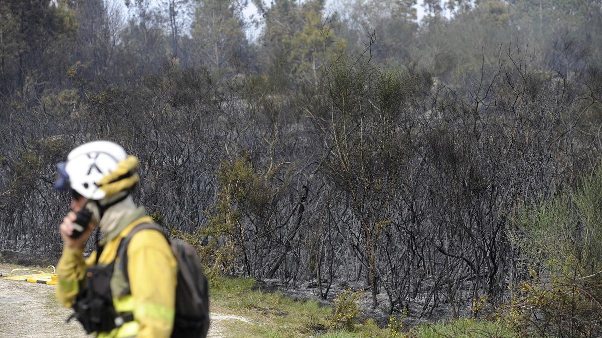 Un bombero forestal trabajando en un incendio en Lalín