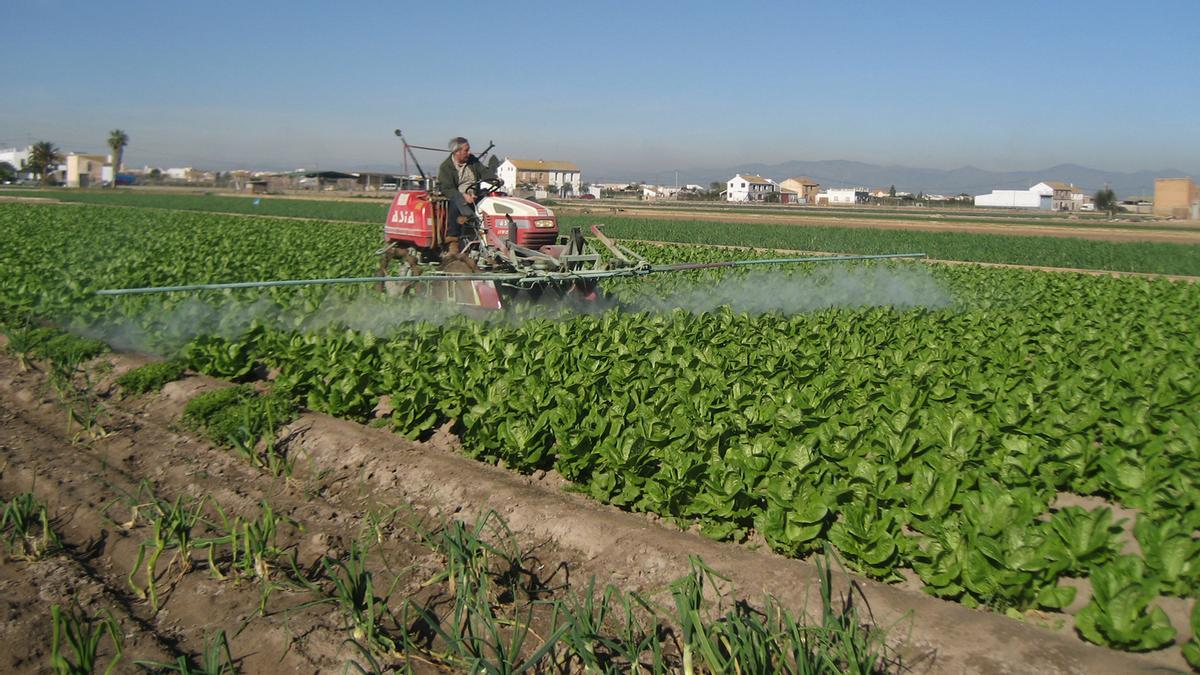 Bruselas renovará la autorización para usar el herbicida glifosato durante  diez años más