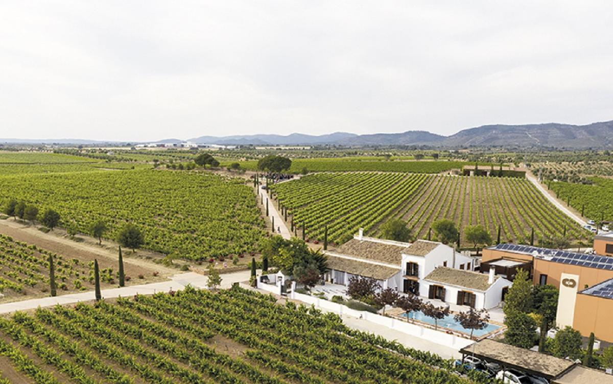 Vista general de la finca Chozas Carrascal, en Requena.