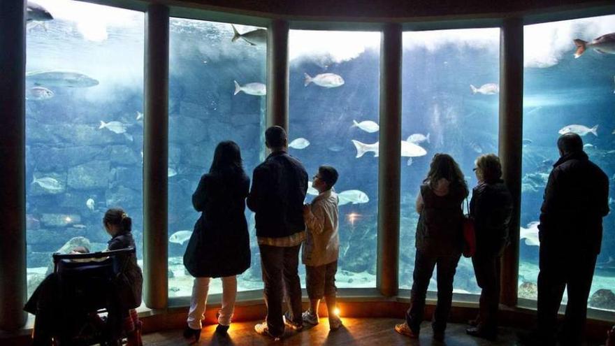 Visitantes del Aquarium Finisterrae, en la sala Nautilus.