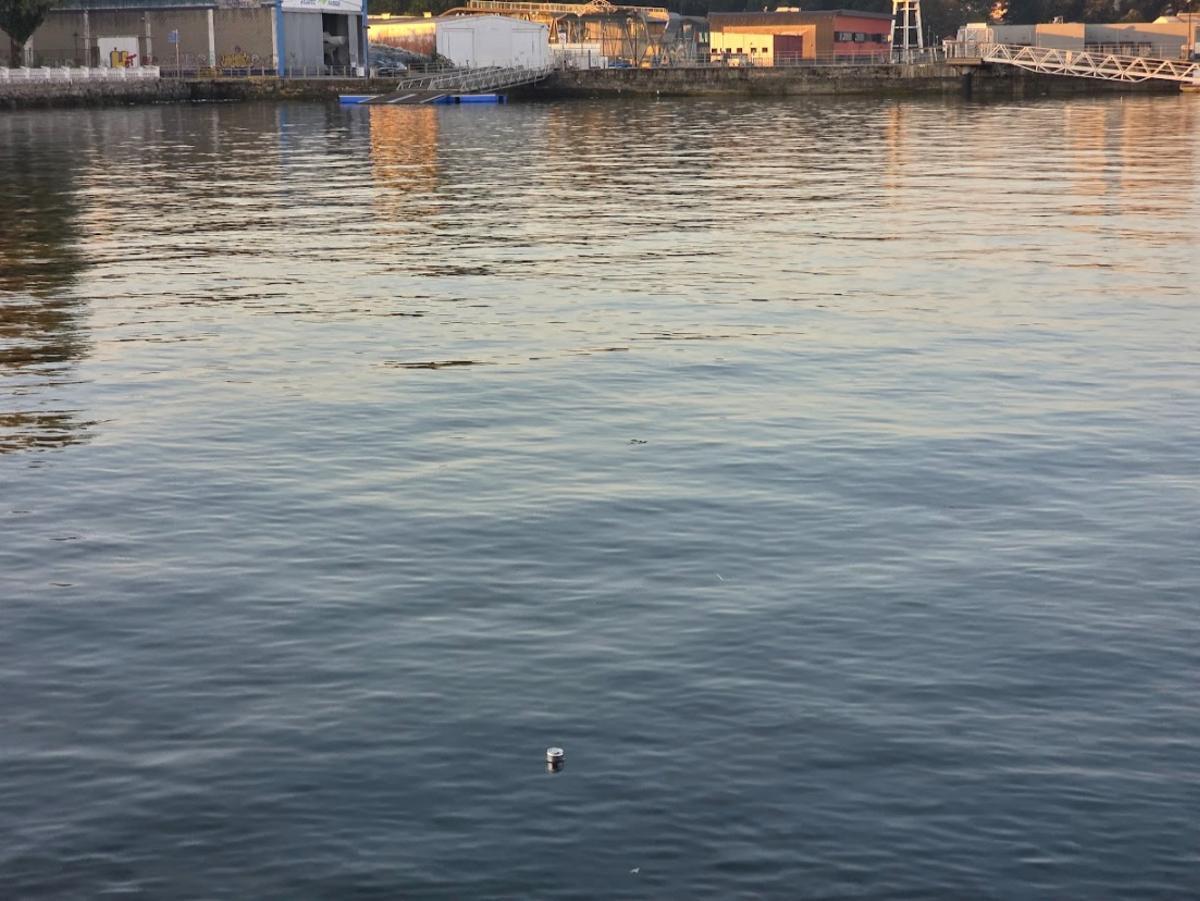 La basusa acumulada en la zona portuaria desde hace dos días. La basusa acumulada en la zona portuaria desde hace dos días.