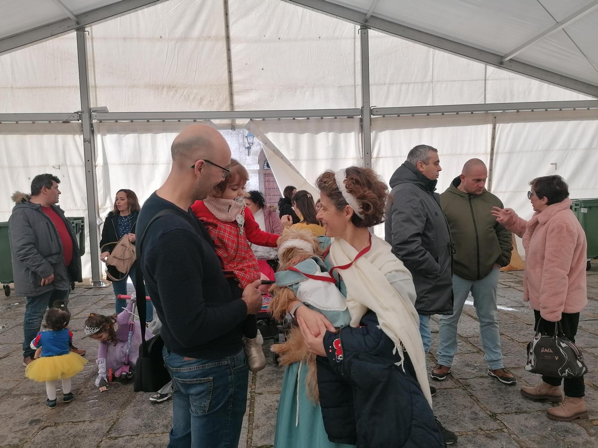 GALERÍA | Los animales se suman a la fiesta en el Carnaval de Toro