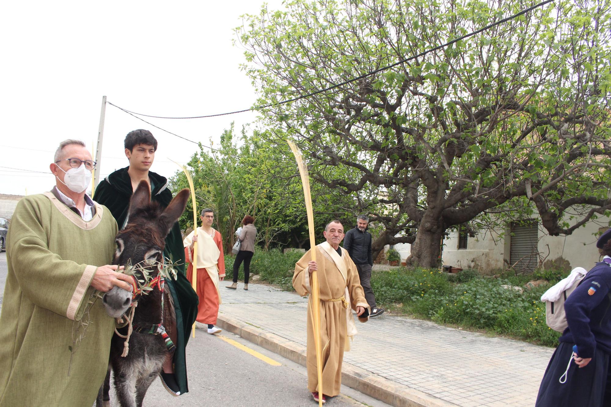 Domingo de Ramos en Beniferri con la burrita "Matilde"