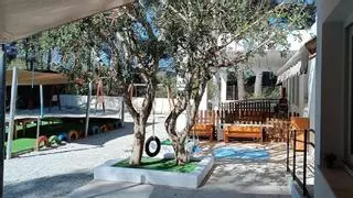 Los alumnos de la ‘escoleta’ Benirràs vuelven a su patio «con pinos y sabinas»