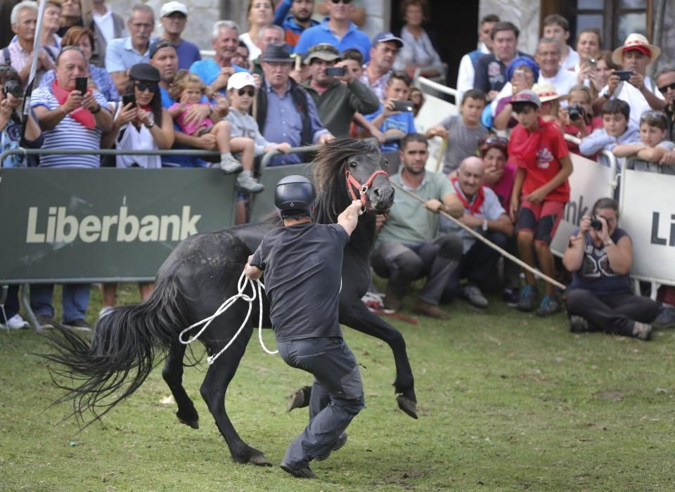 Fiesta del Asturcón en El Sueve