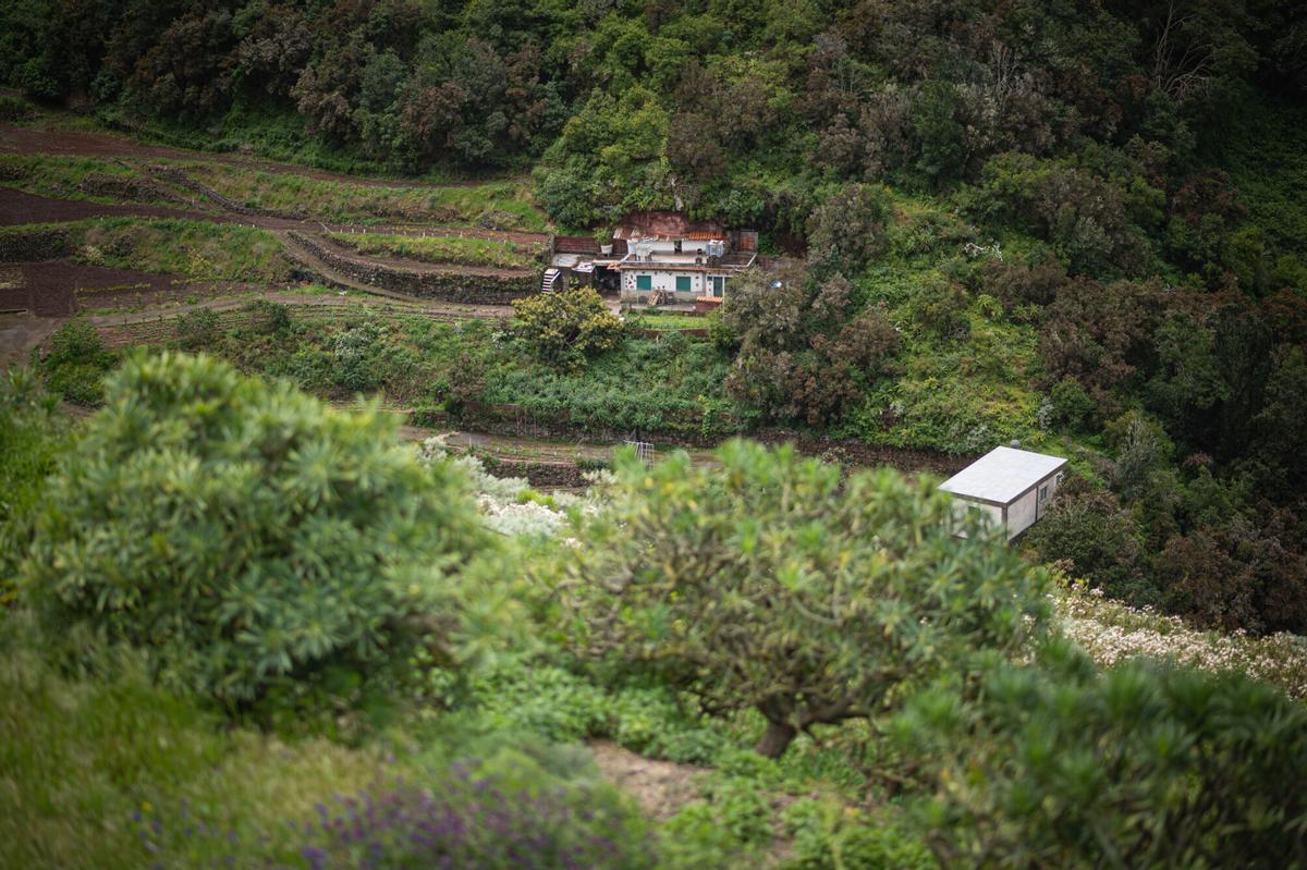 Tenerife vaciada: Bejía, en La Laguna