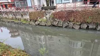 Los vecinos claman contra los vertidos y la maleza del río de O Con